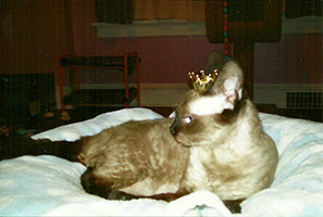 Queen Misty
